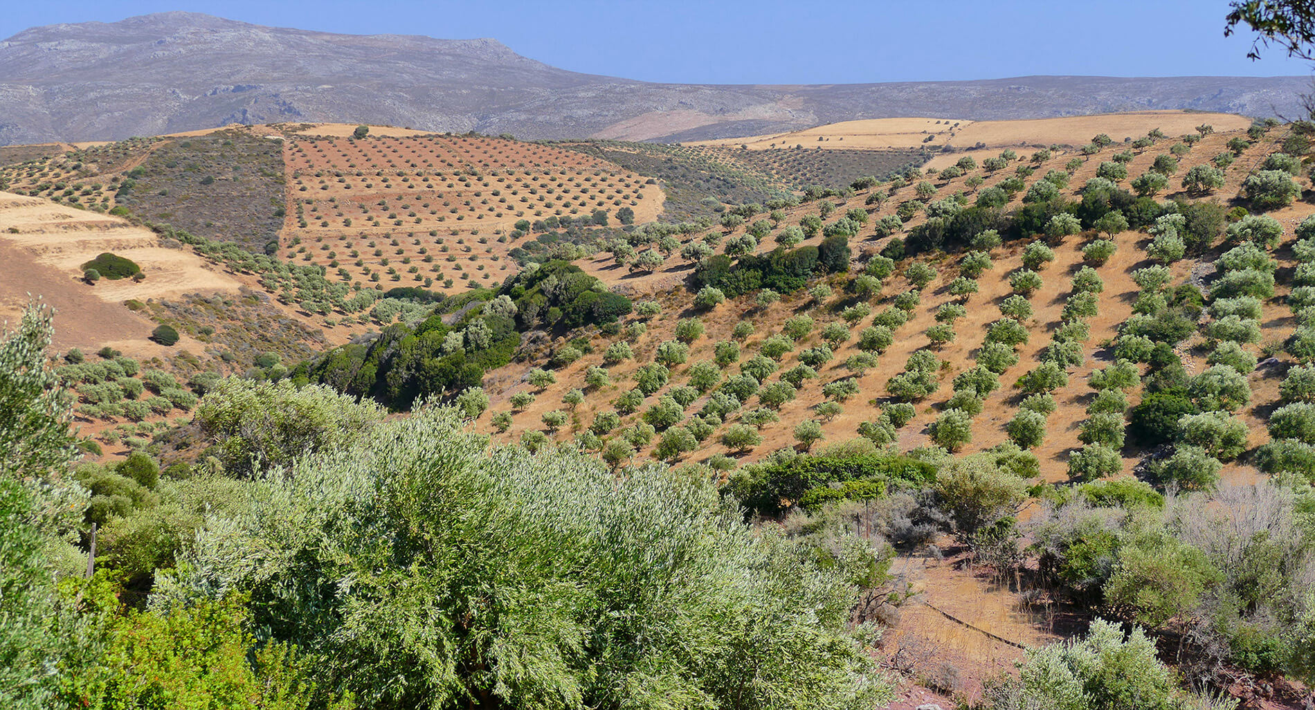 Invitation personnelle | le salon Goûts et Passions