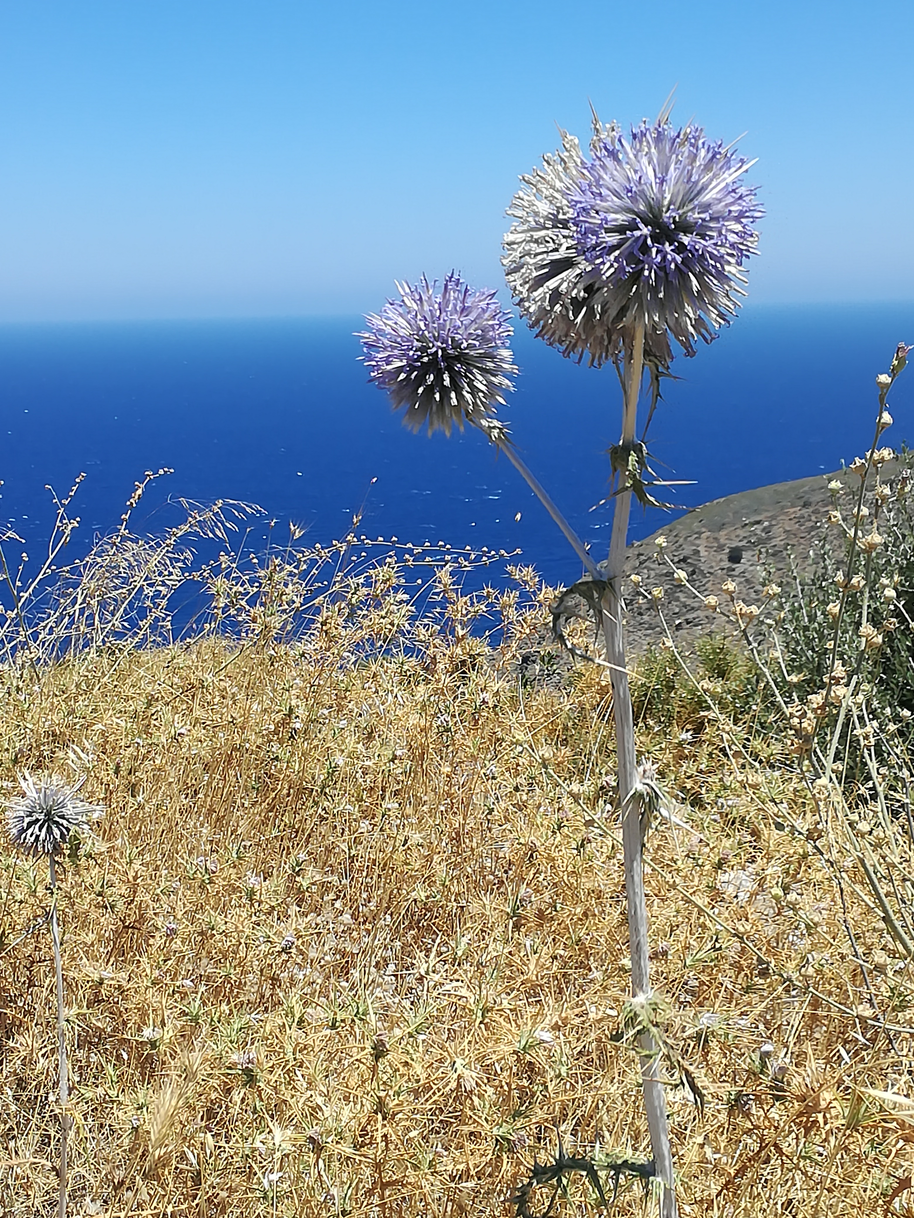 Le livre depuis l’Antiquité